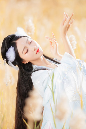 新游记综艺免费观看最新一期