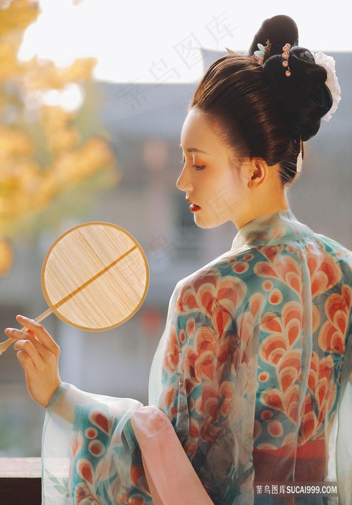 长月烬明免费看电视剧